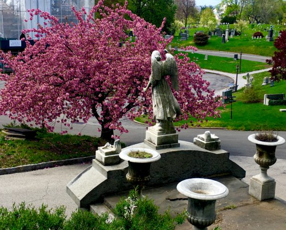 A sculptural angel atop the Chambettaz mausoleum gazes down on a flowering cherry tree in Green-Wood Cemetery. Eagle file photos by Lore Croghan