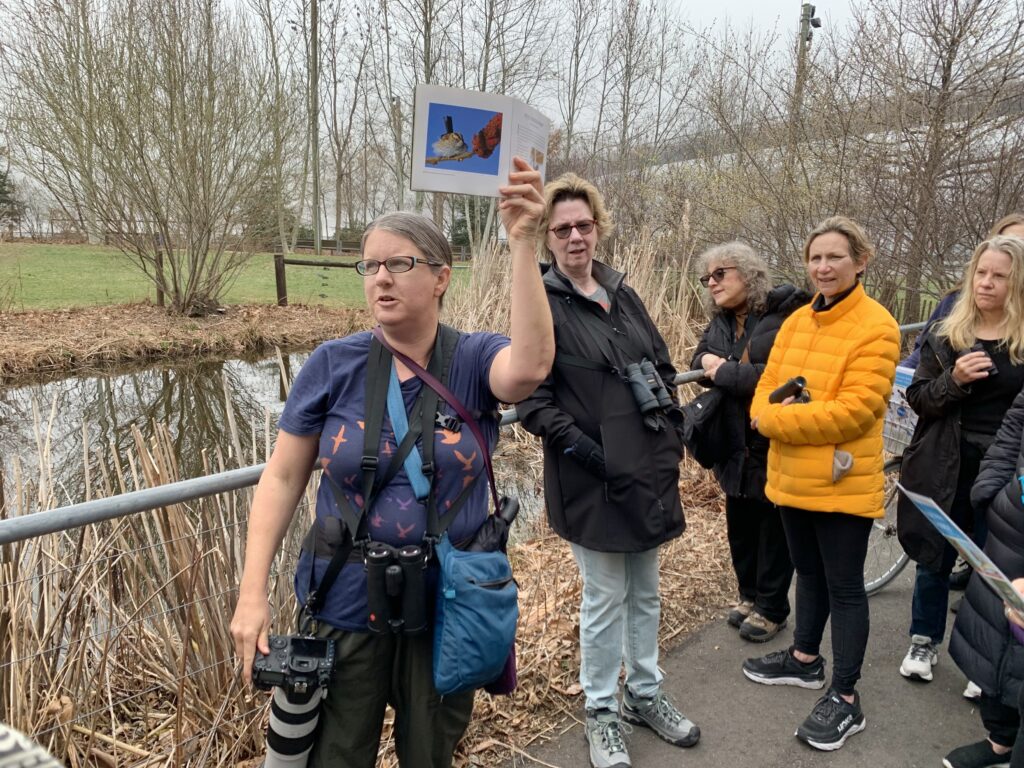 Birder Health Wolf on a walk through Brooklyn Bridge Park in 2022. Photo: Mary Frost