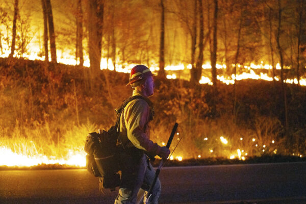 This image provided by New Jersey Department of Environmental Protection shows the wildfire in Jennings Creek, N.J., Saturday, Nov. 9, 2024. New Jersey Department of Environmental Protection via AP