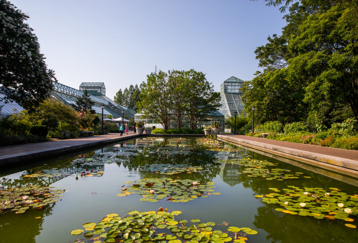 In 2019, Brooklyn Botanic Garden opened an exhibit about the threat to its Conservatories, seen here, which it said was posed by the Continuum development. Eagle file photo by Paul Frangipane