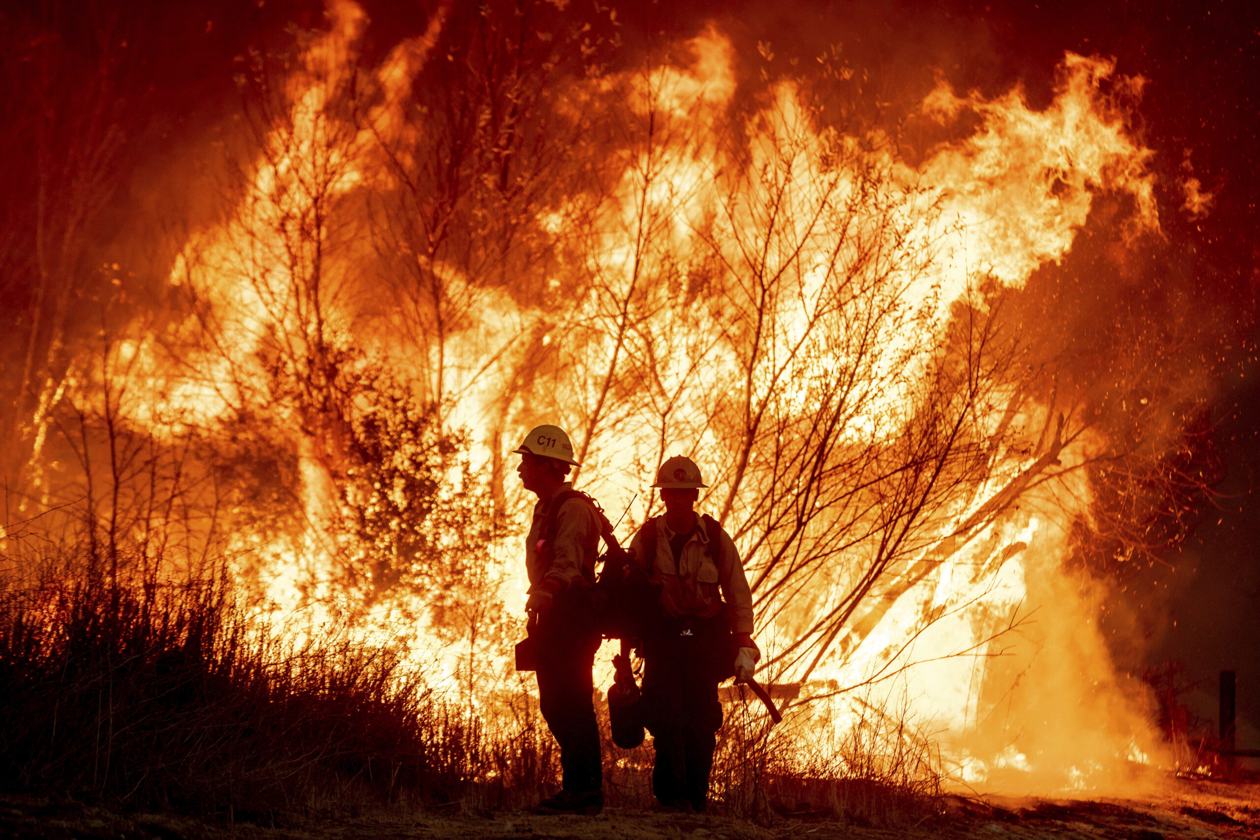 New York Forest Rangers head to California wildfires