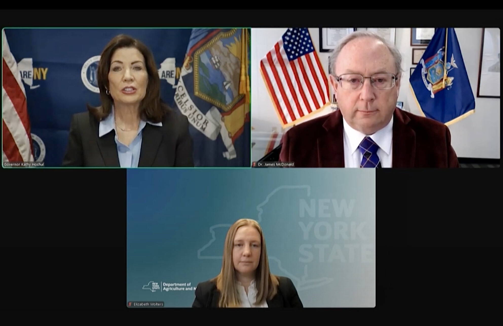 From top left: Gov. Kathy Hochul, Department of Health’s Dr. James McDonald and Department of Agriculture’s Elizabeth Walters during the online briefing held Friday. Photo: Office of the Governor