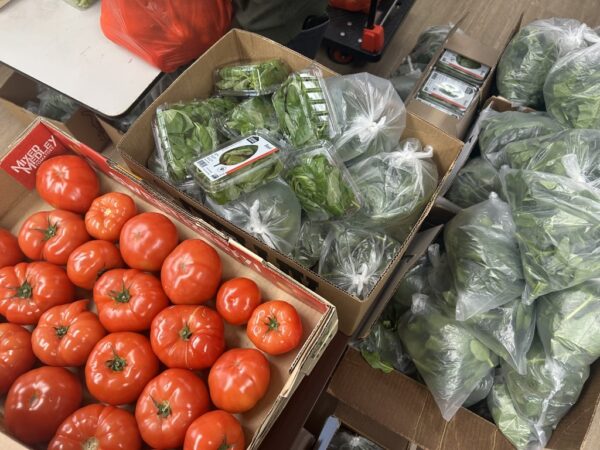 Brooklyn-based indoor farm Gotham Greens supplies some of the high quality food GrowNYC distributes. Brooklyn Eagle photo by Joanna Insco