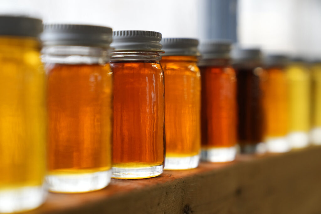Small jars of this season's maple syrup show the variation in hue from day-to-day at Judd's Wayeeses Farms in Morgan, Vt., on Friday, April 11, 2025. AP Photo/Robert F. Bukaty