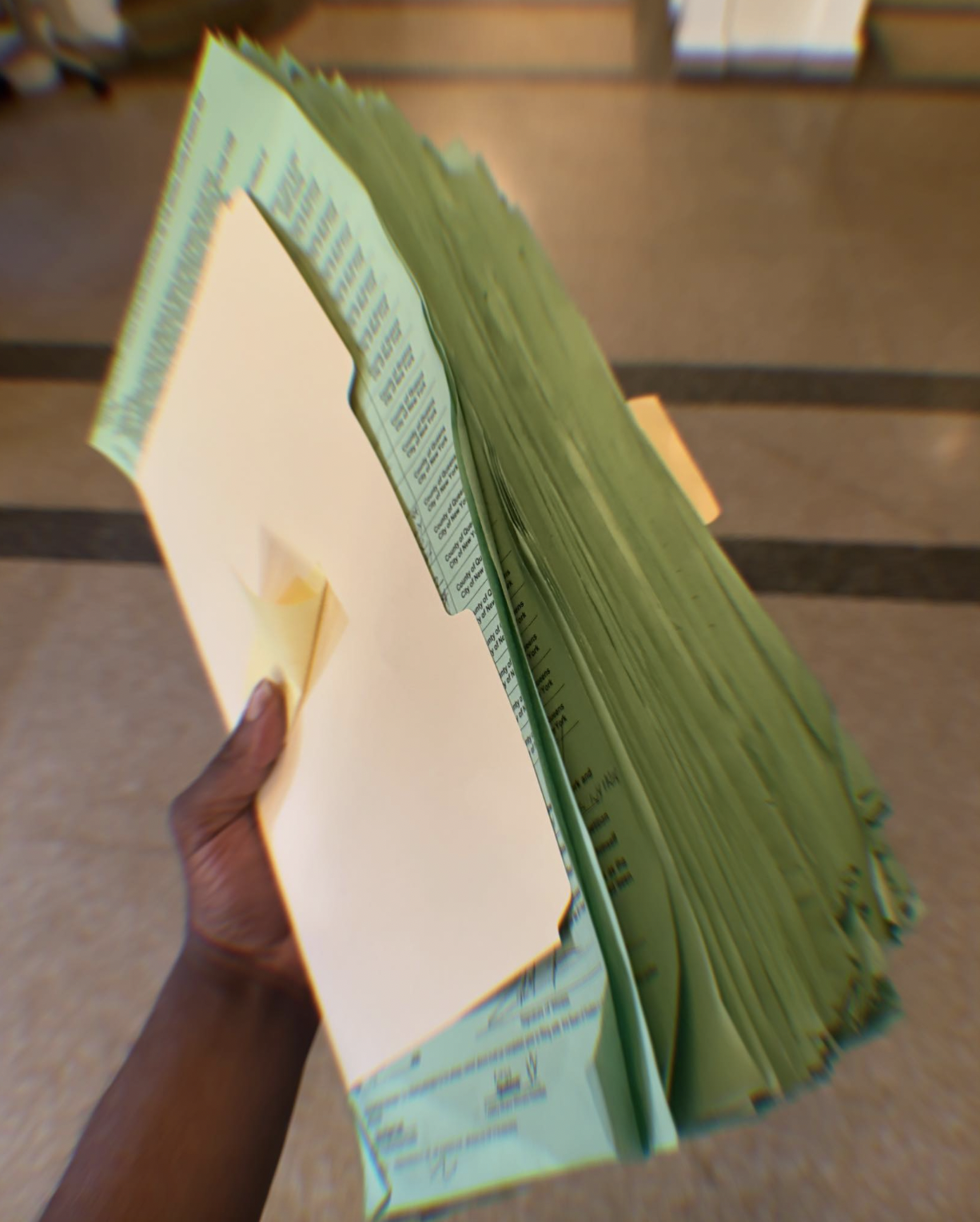Lawyers for the Queens County Democratic Party are alleging that petitions for a Queens judicial candidate are fraudulent. The Eagle first reported on the potentially fraudulent petitions last week. Photo: Tyrell Hankerson/X