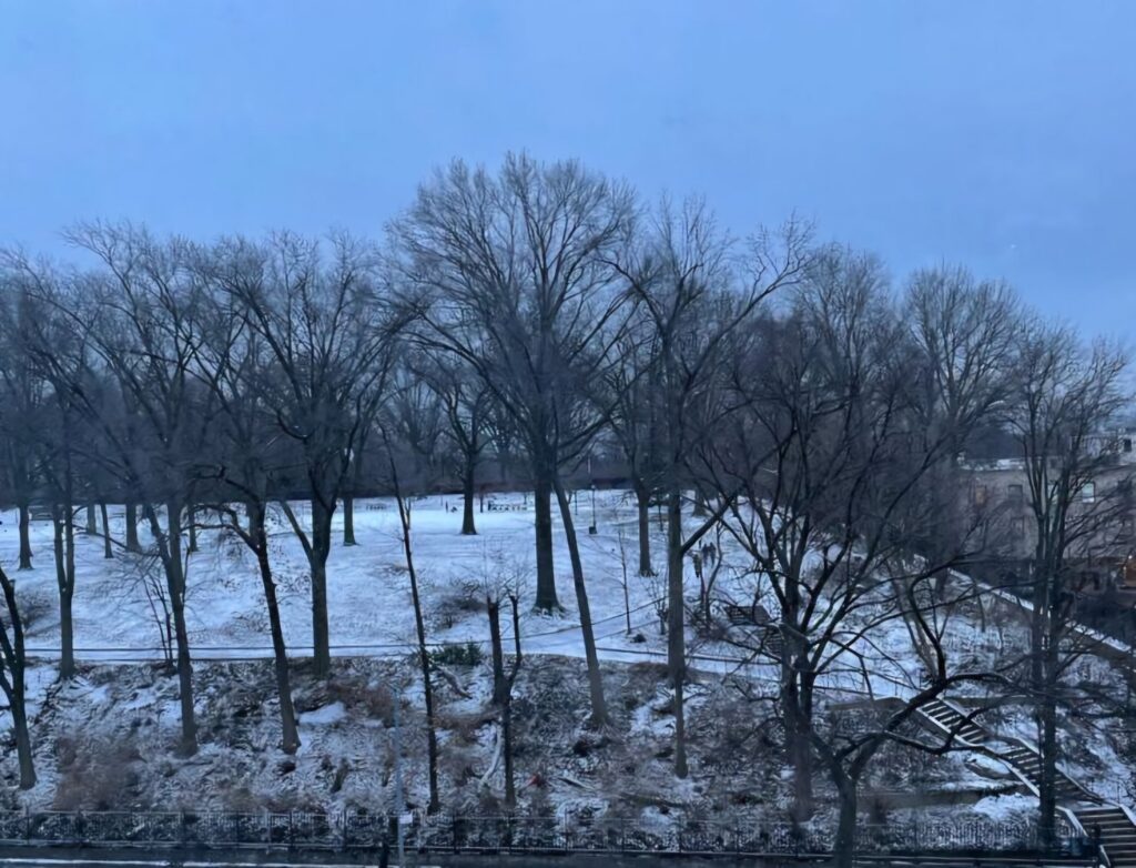 View of the park in the winter. Photo courtesy of Friends of Mount Prospect Park