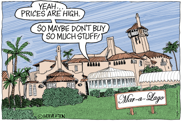 TRUMP'S NEW PLANE by Randall Enos
