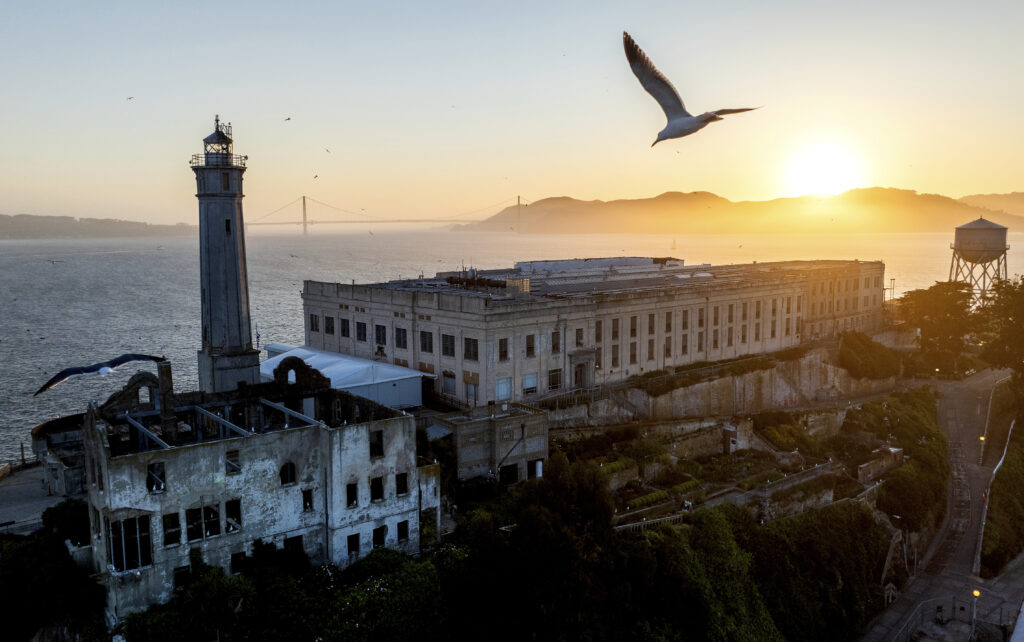 A bird flies above Alcatraz Island on Sunday, May 4, 2025, in the San Francisco Bay, Calif.