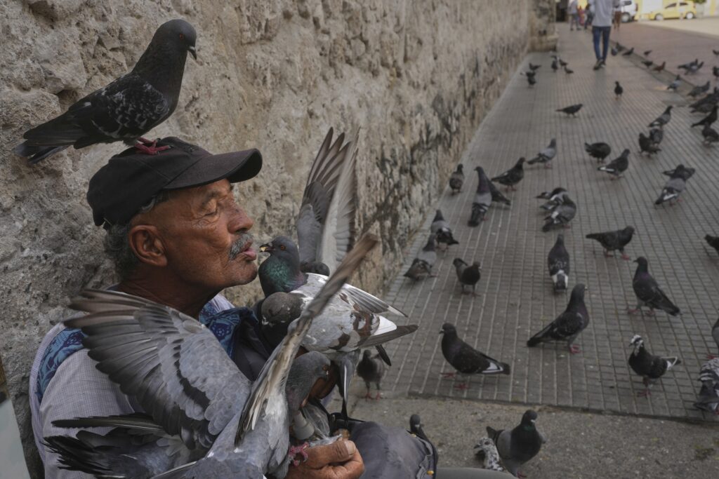 Jean Paul Correa Vasco feeds pigeons outside the Cathedral in Cartagena, Colombia, Thursday, May 8, 2025.
