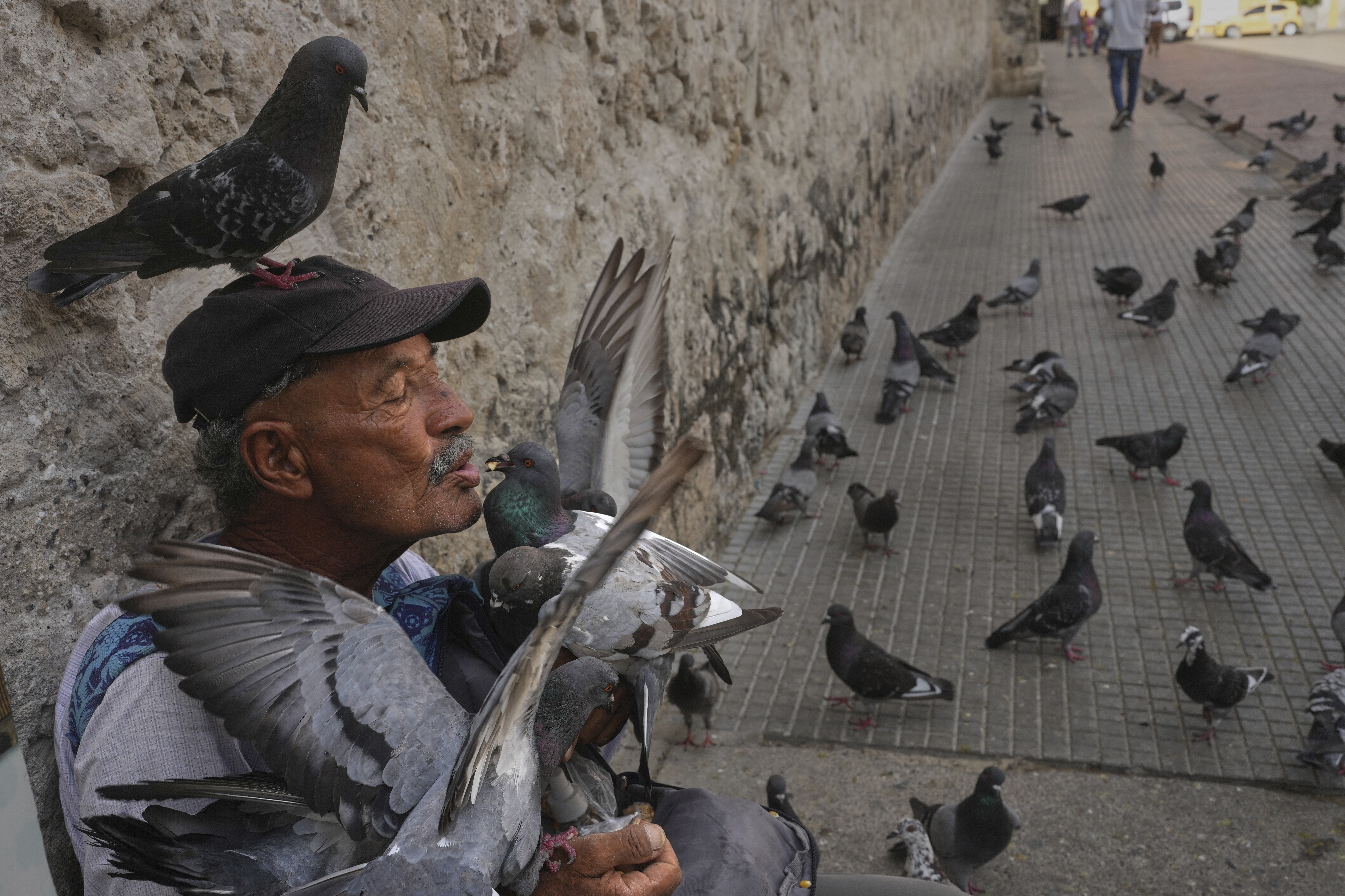 Jean Paul Correa Vasco feeds pigeons outside the Cathedral in Cartagena, Colombia, Thursday, May 8, 2025.