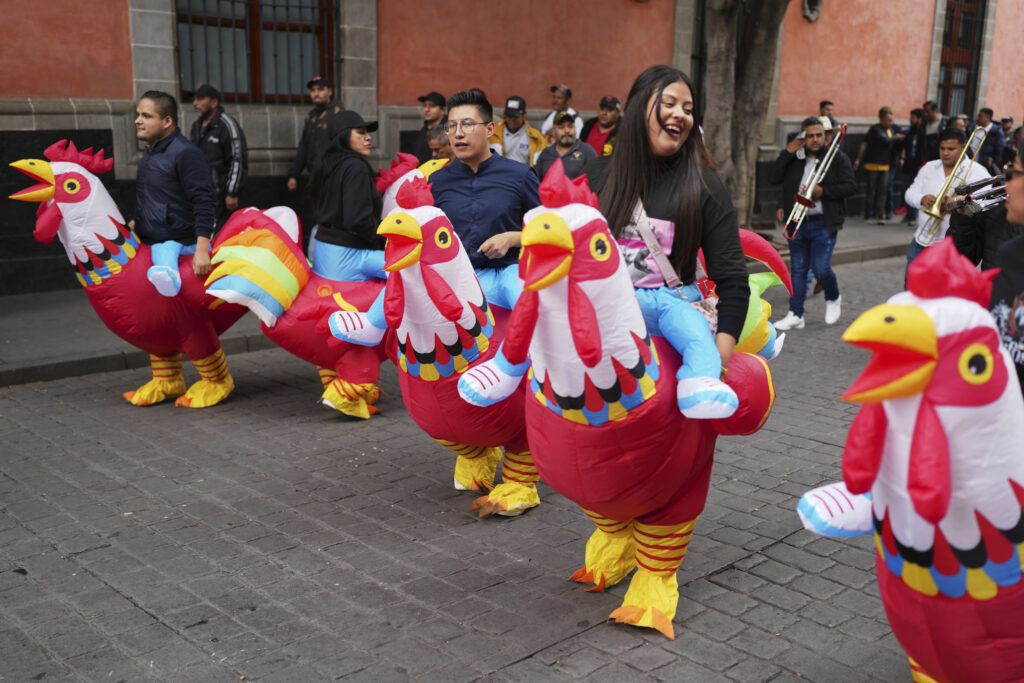 People wearing rooster costumes protest against laws that ban animal blood sports like cockfighting and bullfighting in Mexico City, Thursday, June 26, 2025.