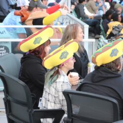Hot dogs, anyone? Brooklyn Eagle photo by Mario Belluomo
