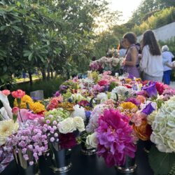 Vase arrangements made for vulnerable populations by Brooklyn Botanic Garden Members in collaboration with BloomAgainBklyn. Brooklyn Eagle photo by Joanna Insco