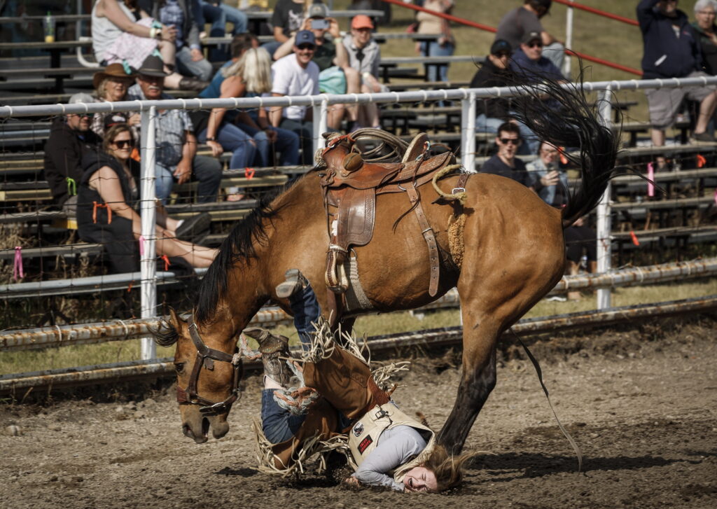 Victoria Ruf, of Rocky View County, Alberta, hits the ground after her ride in women's ranch bronc during rodeo action in Crossfield, Alberta, Saturday, June 14, 2025.