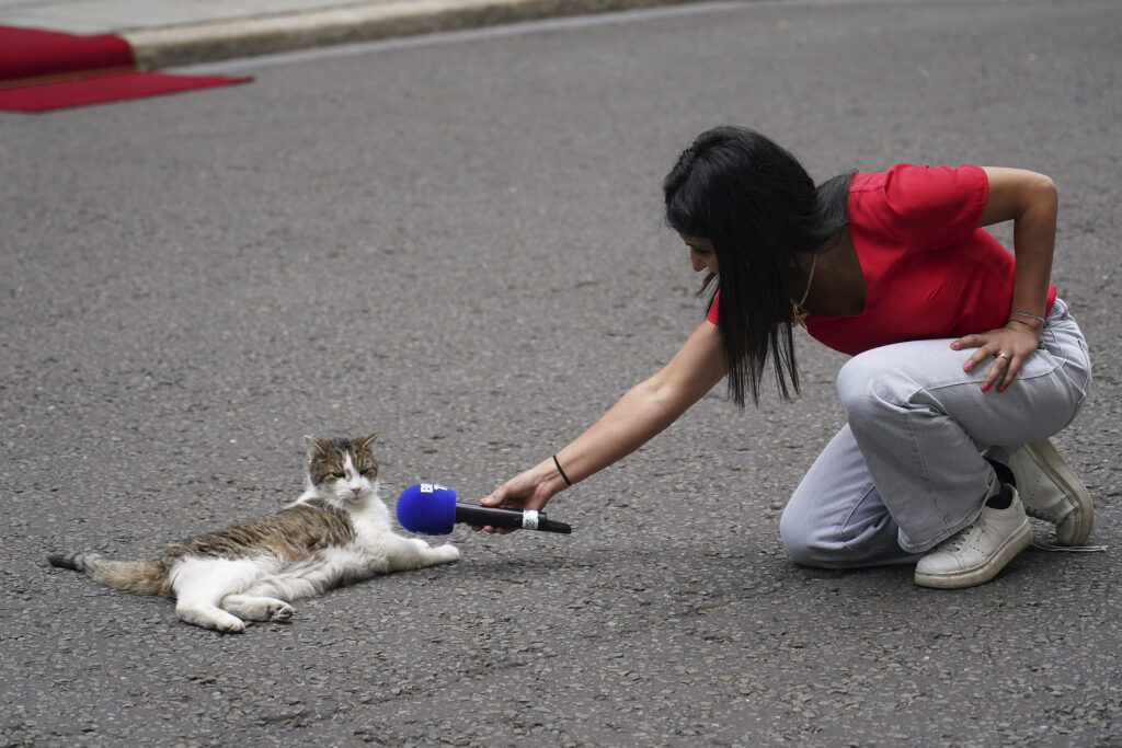 A reporter points their microphone at Larry the Cat, Chief Mouser to the Cabinet Office, as Britain's Prime Minister Keir Starmer meets French President Emmanuel Macron at 10 Downing Street in London, Wednesday, July 9, 2025.