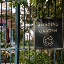The Amazing Garden, a community garden operated by GreenThumb. Brooklyn Eagle photo by Paul Frangipane