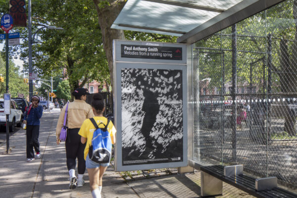 Paul Anthony Smith's first public art installation in New York. Photo courtesy of the artist presented by Public Art Fund