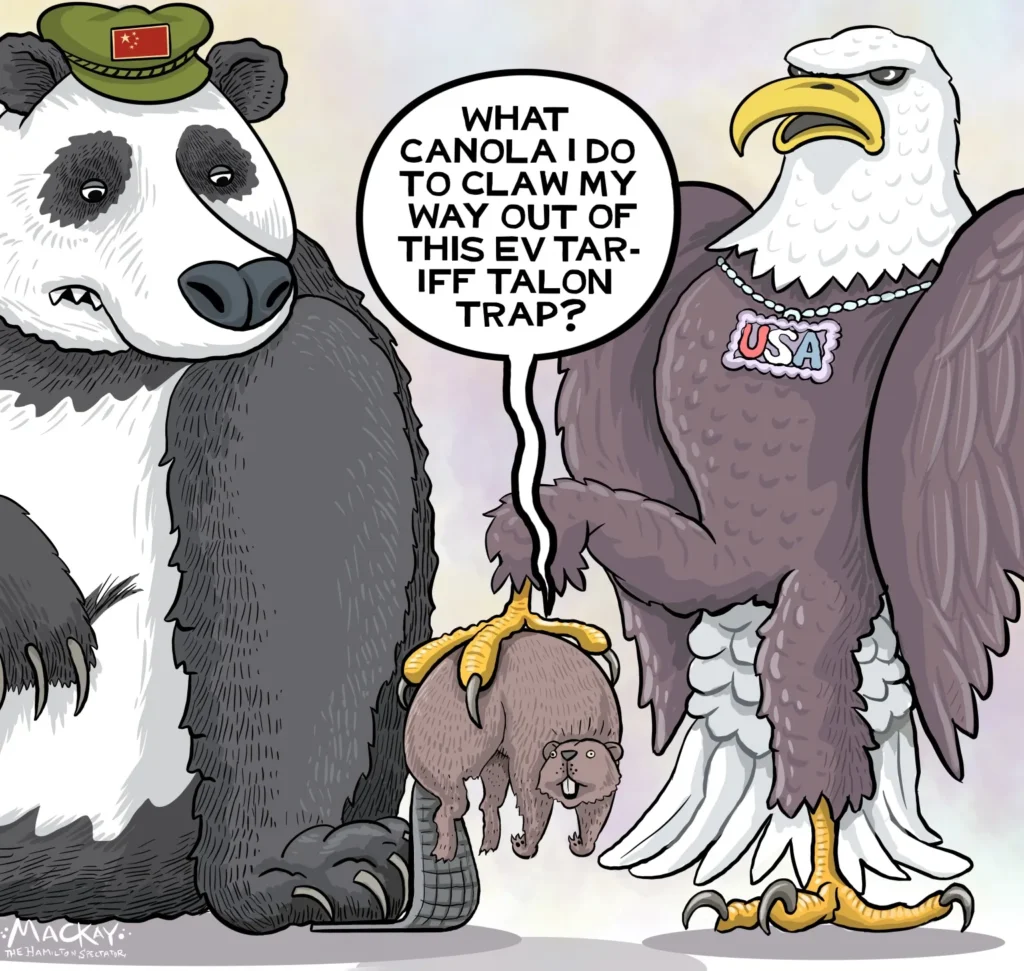 Canada Beaver Tormented by Panda and Bald Eagle by Graeme Mackay