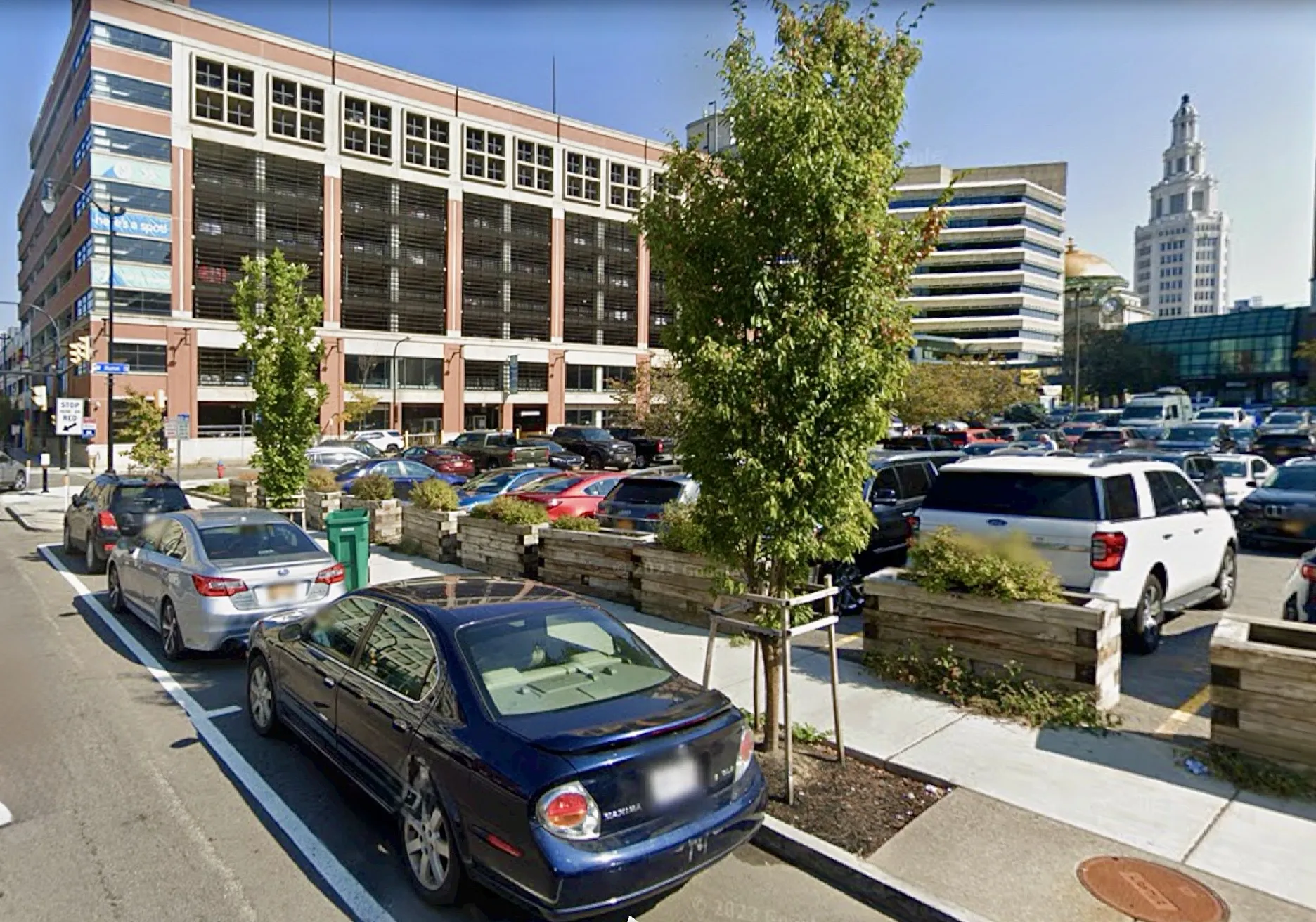 By clicking a dot on the street tree map, viewers can see the type of tree and its image. Photo: Google Maps
