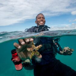 Michael del Rosario, environmental education coordinator at Fundemar, shows a piece of ceramic with corals growing on it in Bayahibe, Dominican Republic on Oct. 17, 2025. Photo: Francesco Spotorno/AP