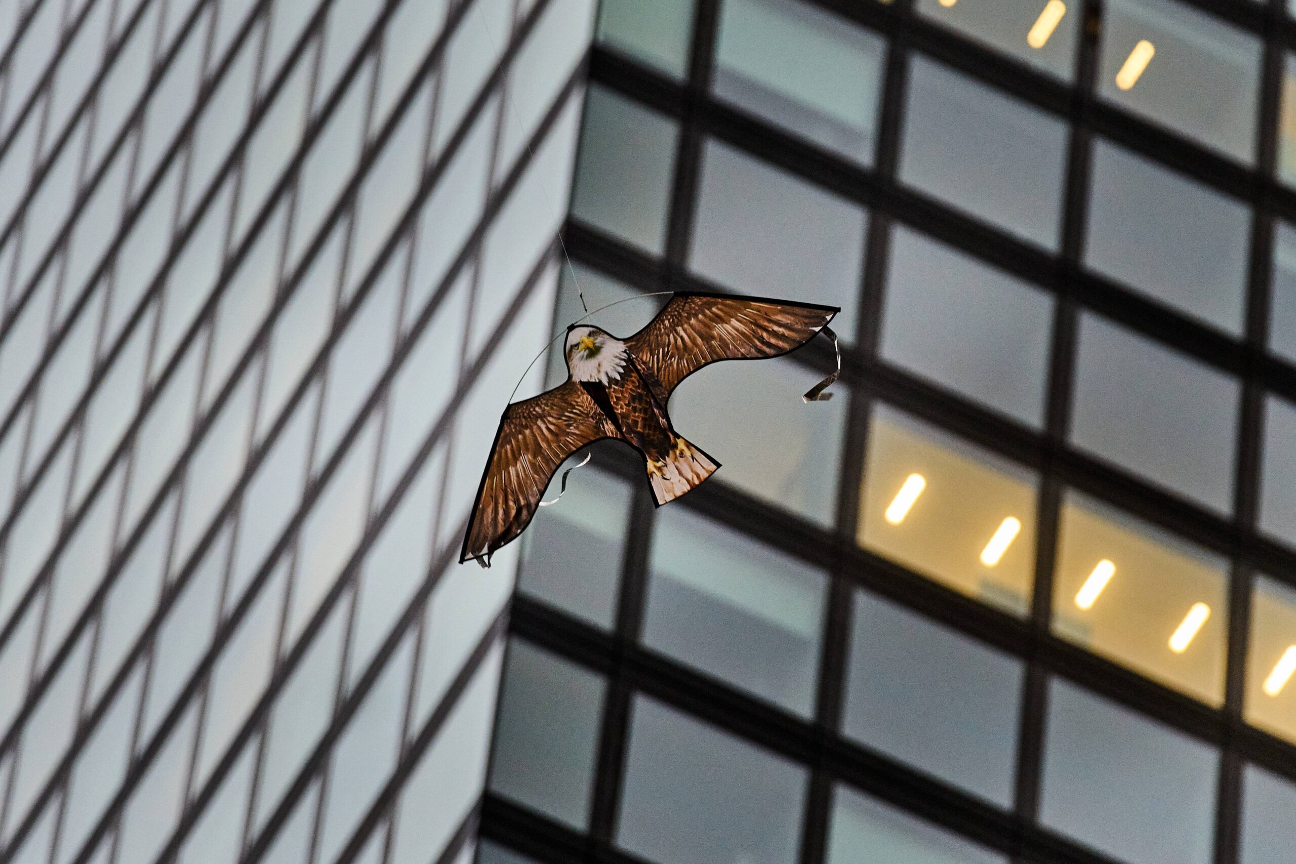A model of raptor flies next to an office building in downtown Frankfurt, Germany, Wednesday, Dec. 3, 2025. Photo: Michael Probst/AP