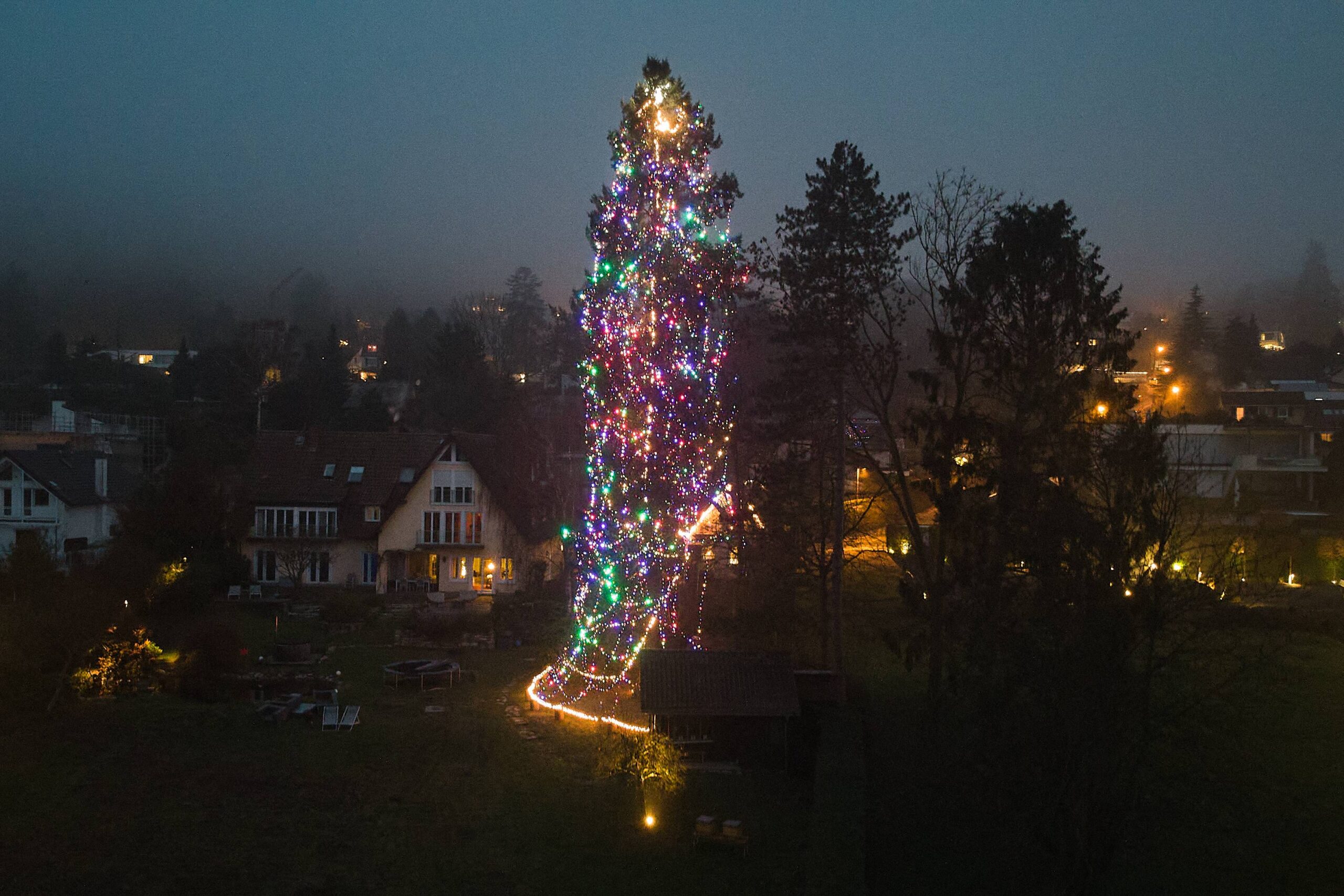 A Douglas fir is decorated with hundreds of lights in a private garden in Falkenstein near Frankfurt, Germany, on a foggy Thursday, Dec. 4, 2025. Photo: Michael Probst/AP