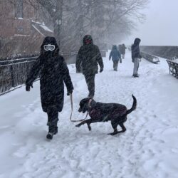 Desafiando la tormenta del domingo en el paseo marítimo de Brooklyn Heights. Foto: Mary Frost, Brooklyn Eagle