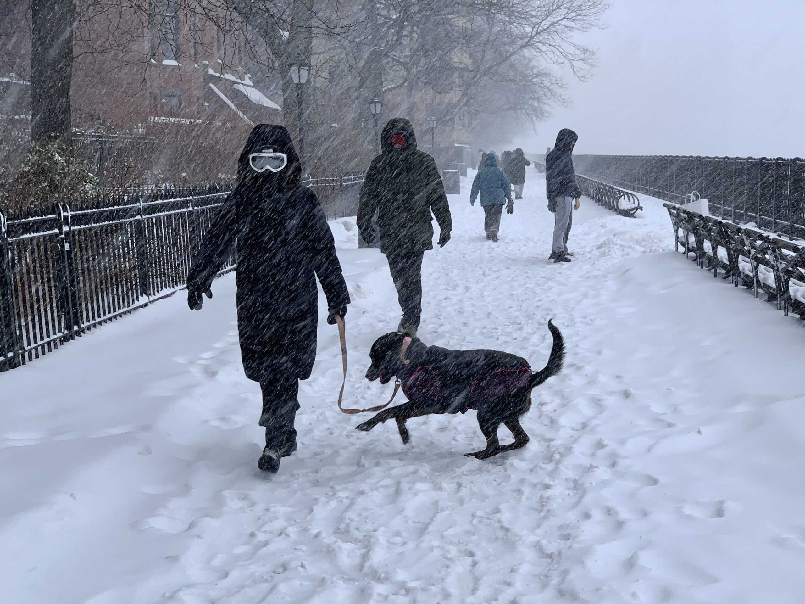NYC huge snow - clearing operation is underway