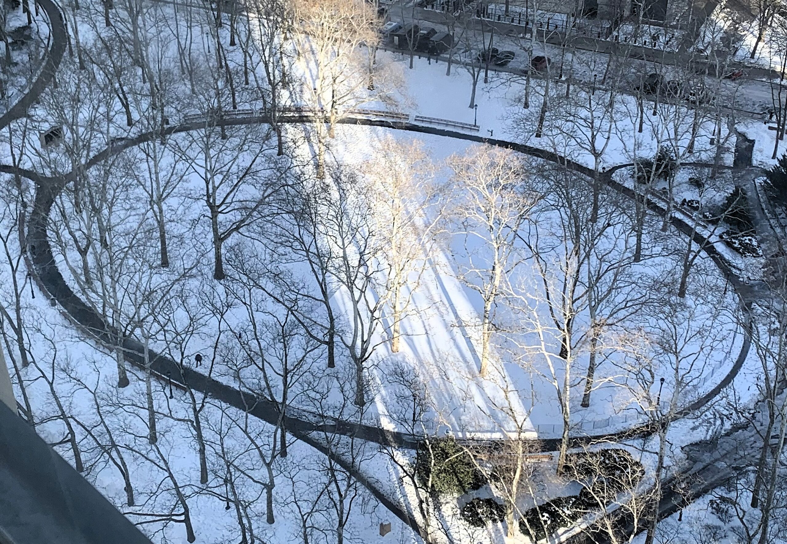 A shaft of light from the sun illuminates a swath of the circular area in snowy Cadman Plaza Park. Photo: Mary Frost, Brooklyn Eagle