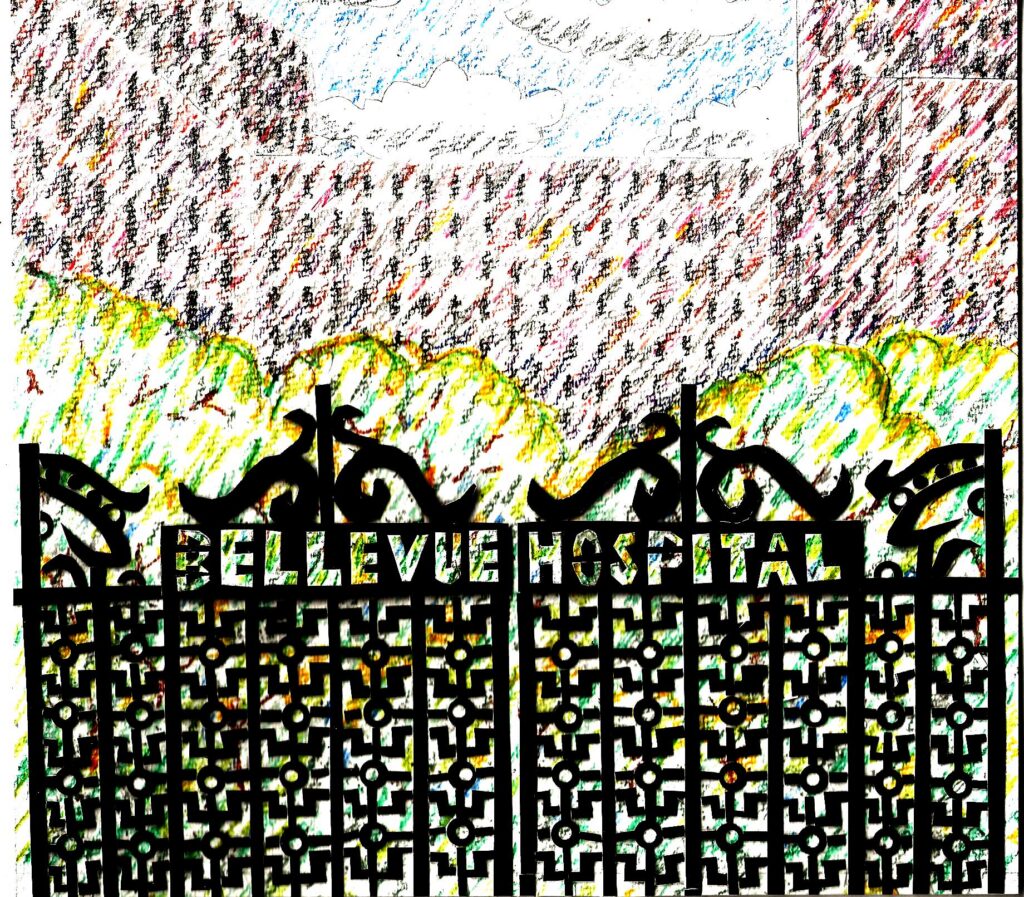 Bellevue, where Cricky was brought at one point. Photo: Thomas McKean