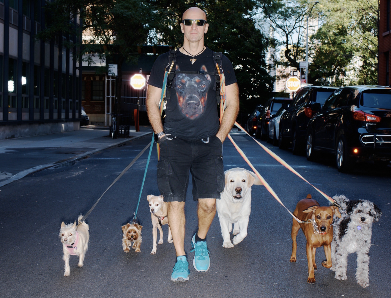 Csaba walks dogs in Brooklyn Heights. Photo: GoFundMe.com/f/support-csabas-family