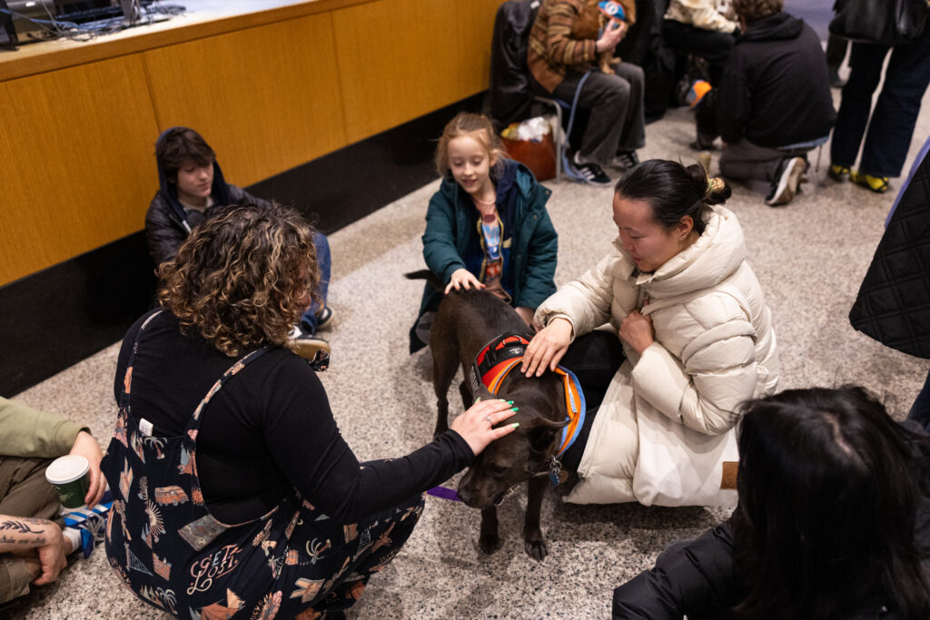 Night in the Library 2026. Photo: Gregg Richards
