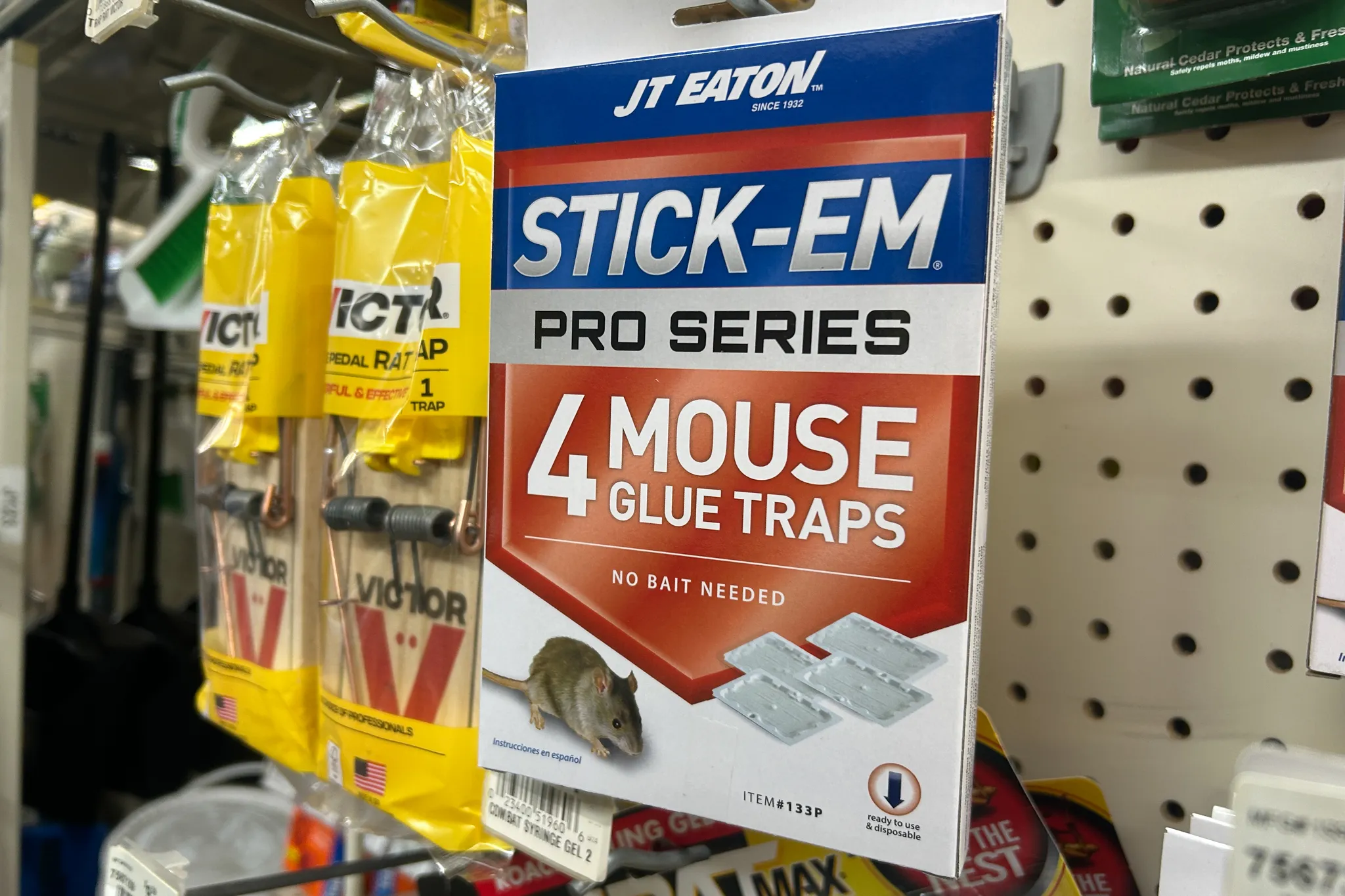 A Midtown, Manhattan hardware store sold mouse glue traps. Credit: Benjy Sachs