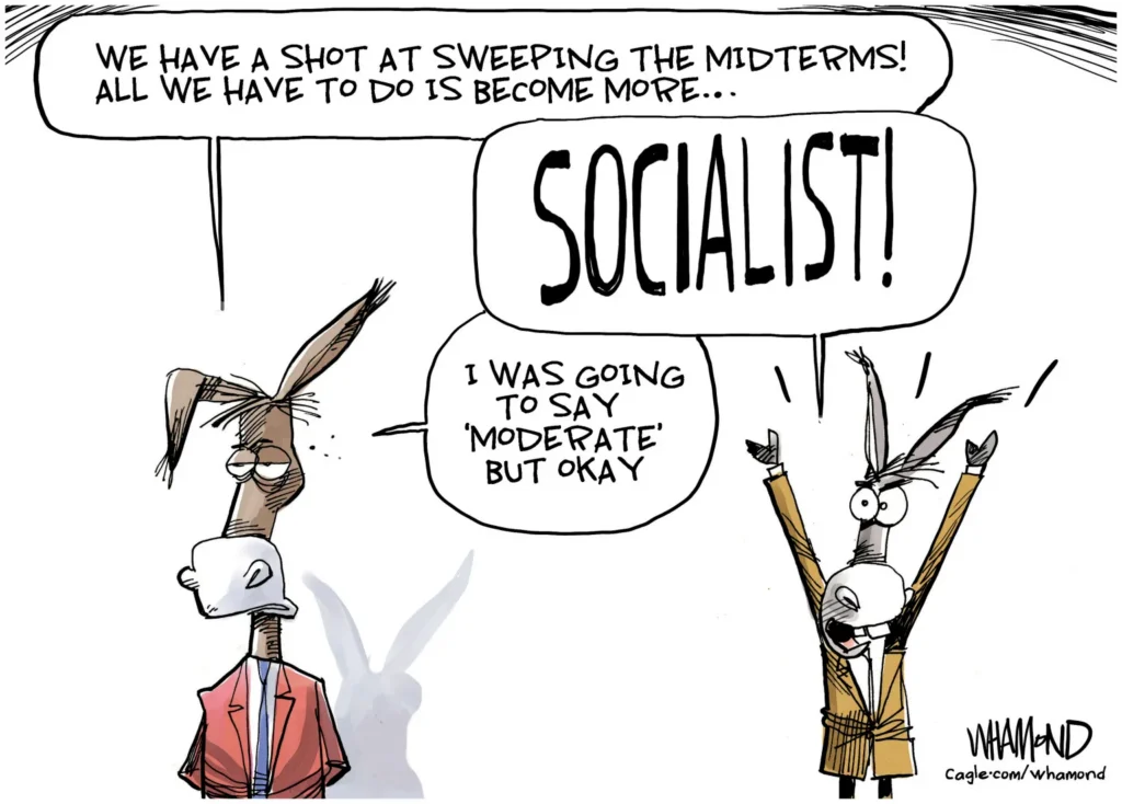 Democrats Debate Socialist Midterm Strategy by Dave Whamond