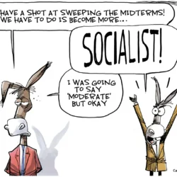 Democrats Debate Socialist Midterm Strategy by Dave Whamond