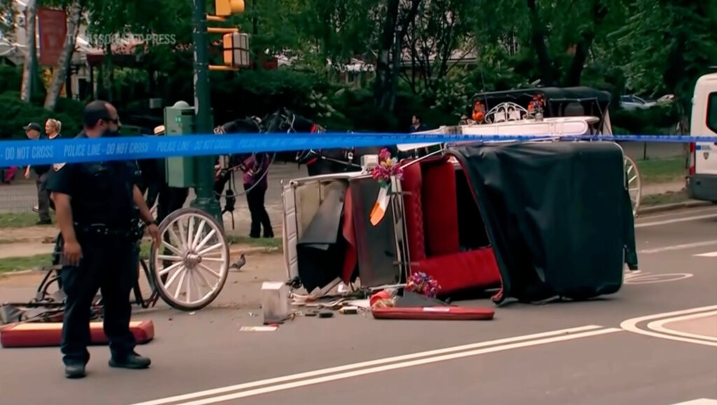 Police investigate the scene after a Central Park carriage horse bolted away from its driver killing a teenager from India on Wednesday, June 17, 2026 in New York. Photo: WABC-TV via AP