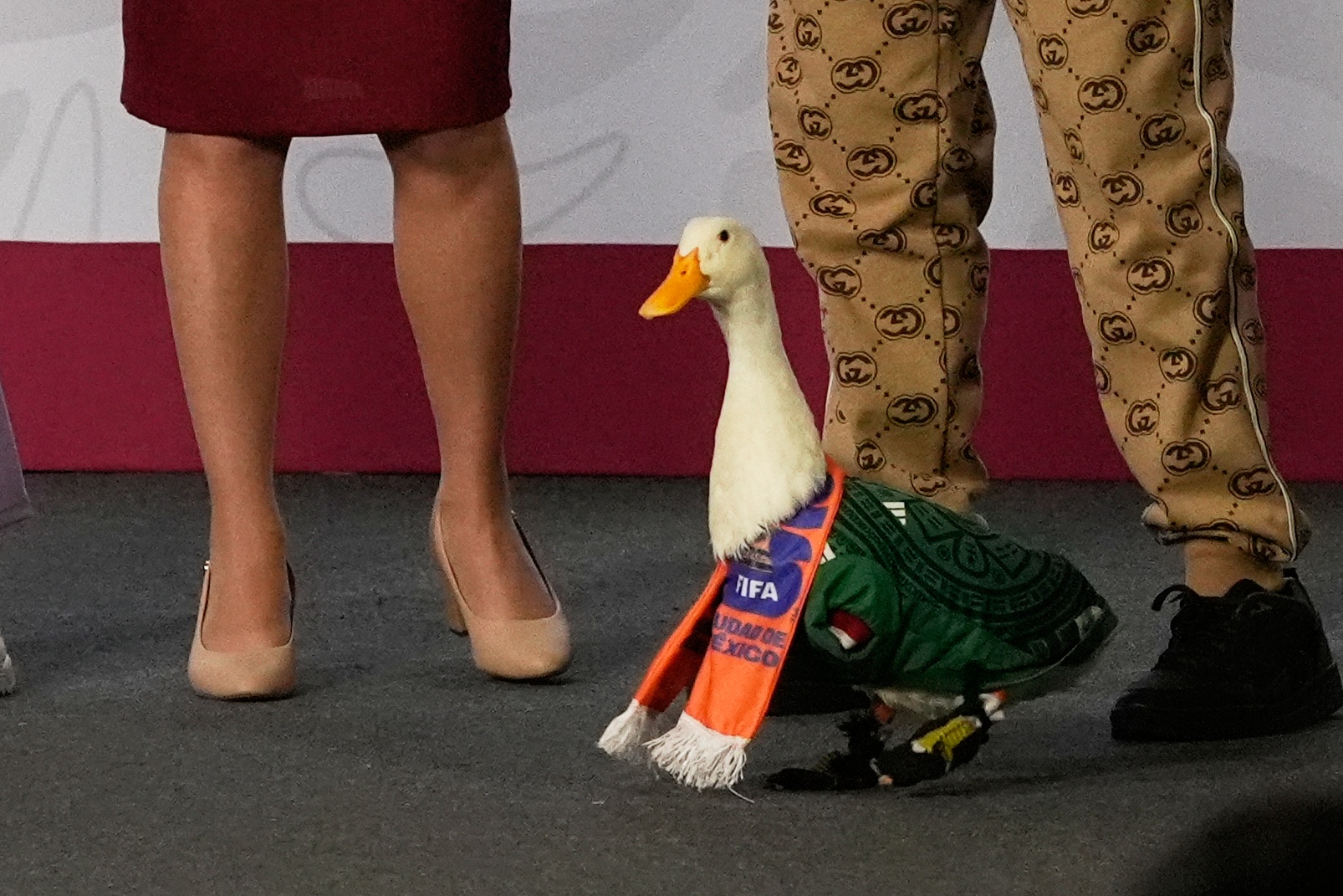 Merlin the duck, dressed in a Mexican national soccer team jersey, attends the daily press conference by Mexican President Claudia Sheinbaum, left, along with his caretakers Carla Gomez and her sons Carlos and at the National Palace in Mexico City, Monday, June 22, 2026. Photo: Marco Ugarte/AP