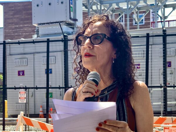 Doreen Gallo, president of the DUMBO Neighborhood Alliance. Photo: Mary Frost/Brooklyn Eagle