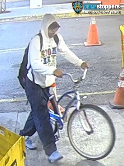 The suspect in a theft last month. Photo: NYPD