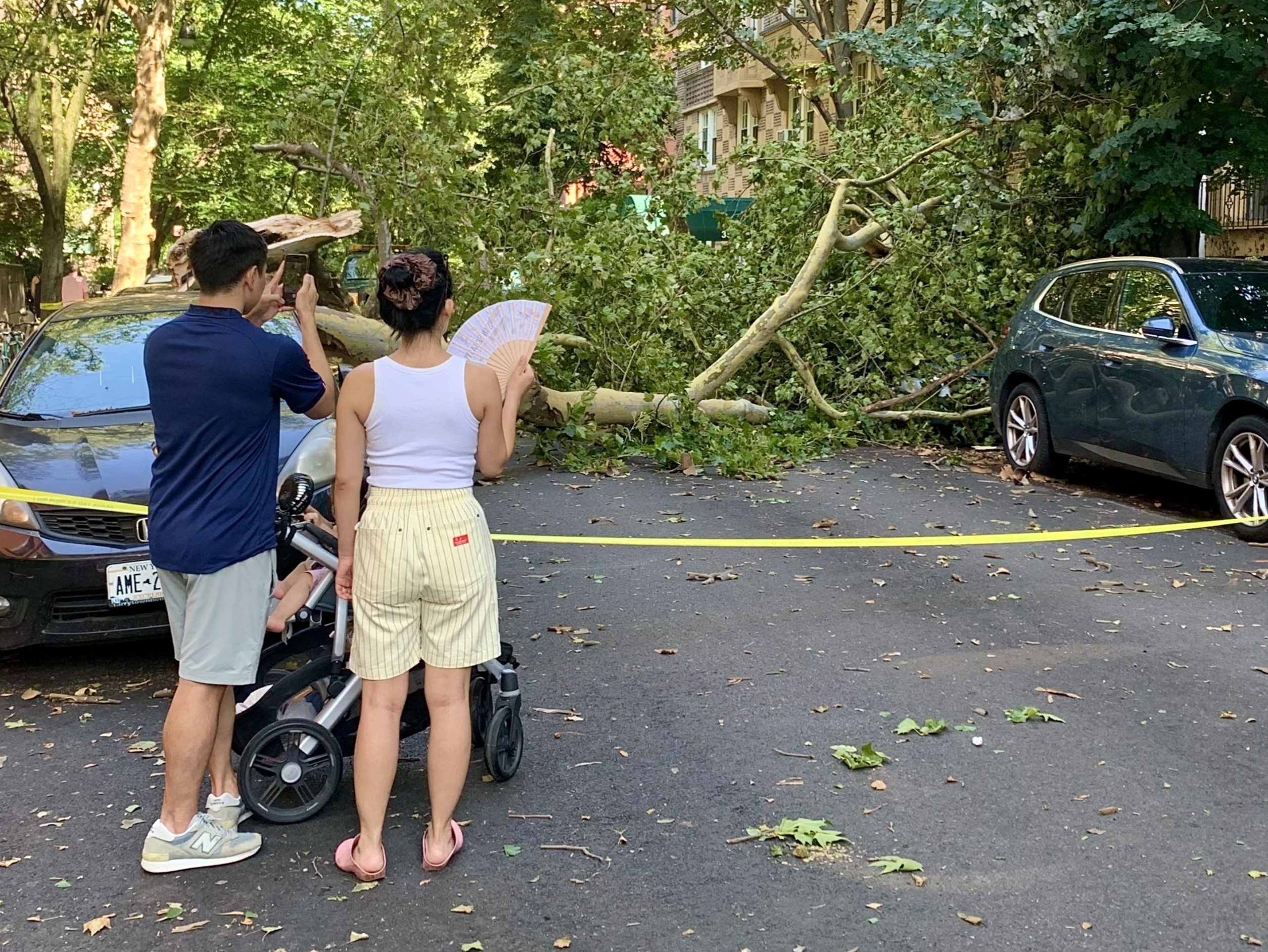This couple on Pierrepont Street in Brooklyn Heights surveyed the damage from Friday night’s storm. Photo: Mary Frost/Brooklyn Eagle